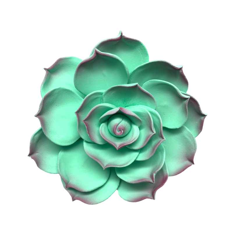 Flor suculenta de 3" - Mediana - Verde