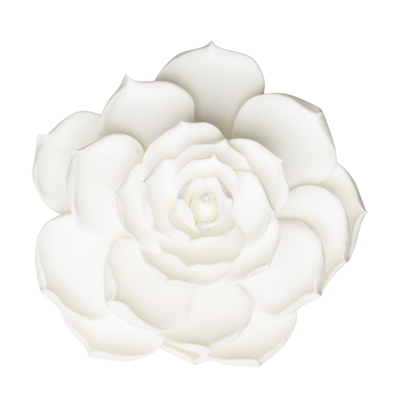 Flor suculenta de 4" - Grande - Blanco