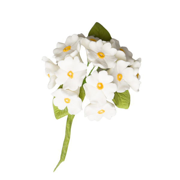 Ramo de hortensias (blanco con centro amarillo)