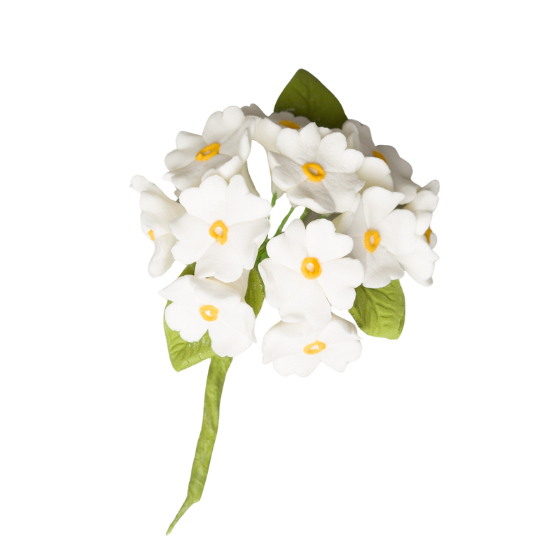 Ramo de hortensias (blanco con centro amarillo)