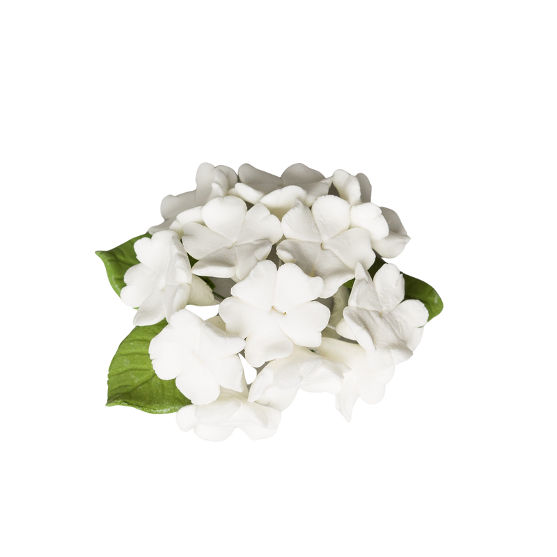 Ramo de hortensias (blanco)
