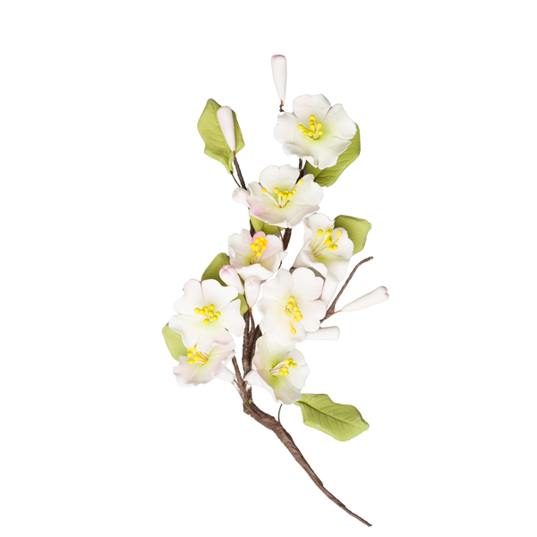 Flor de Cerezo con Relleno de Hojas