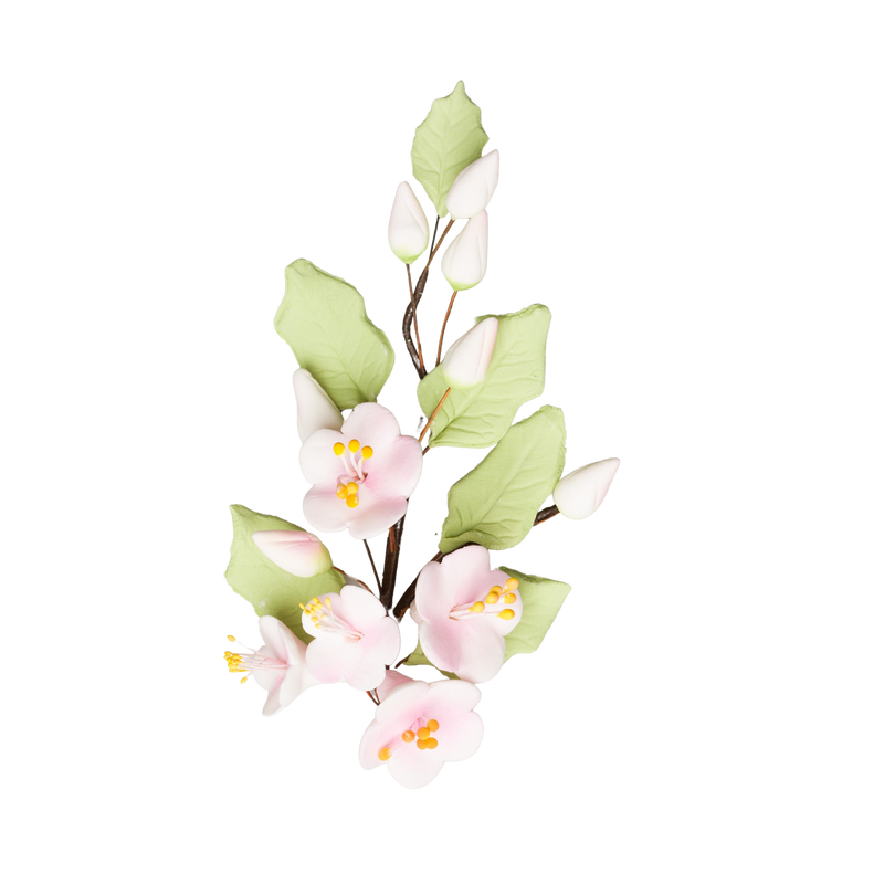 Apple Blossom with Leaves Spray