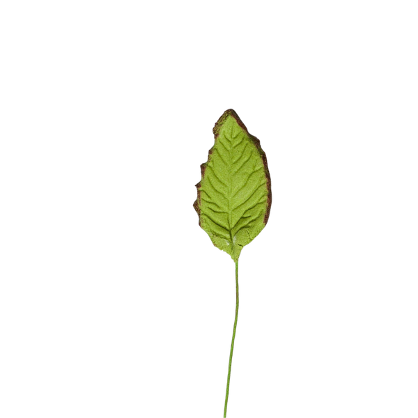 3/4" Rose Leaves - Mini - Green w/ Wire