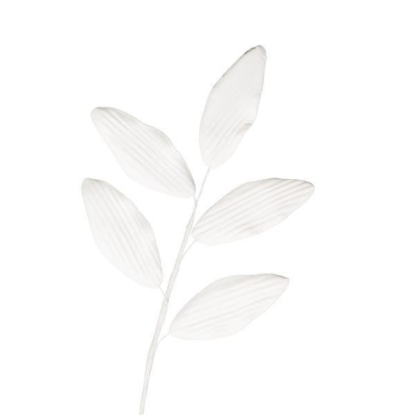 Aerosol para hojas de orquídea de 5" - Blanco