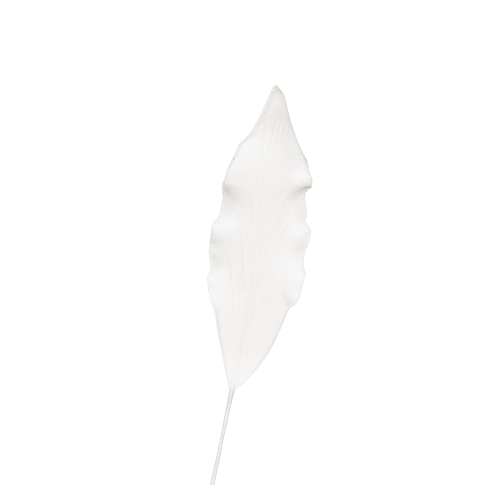 white lily leaf 3