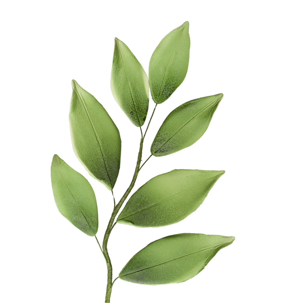Relleno de 7 hojas - Verde