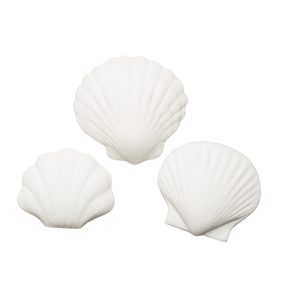 Seashell Assortment 1