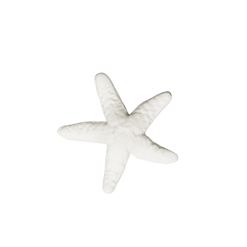 3" Starfish Pack