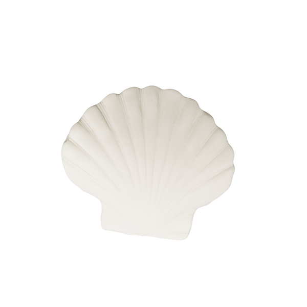 Medium Clam Shell 2.5"