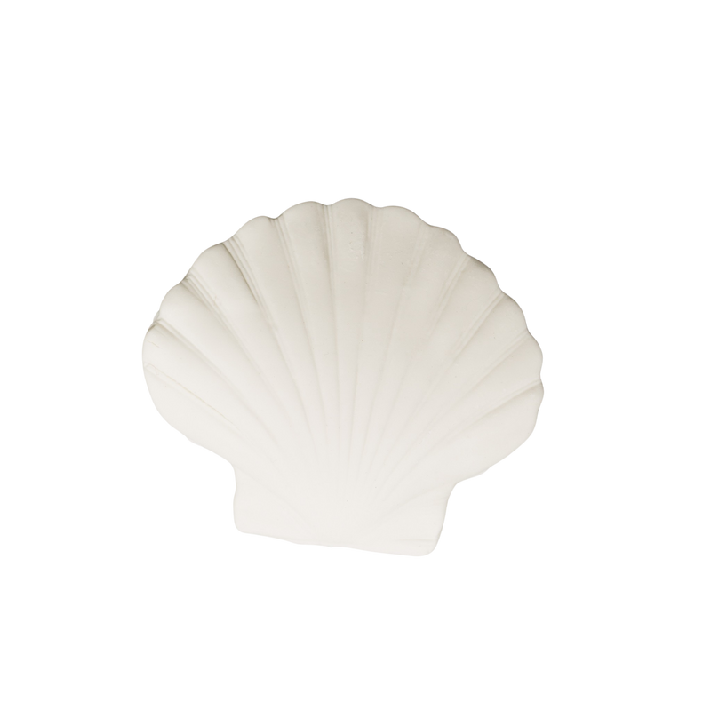 Large Clam Shell 3.5"