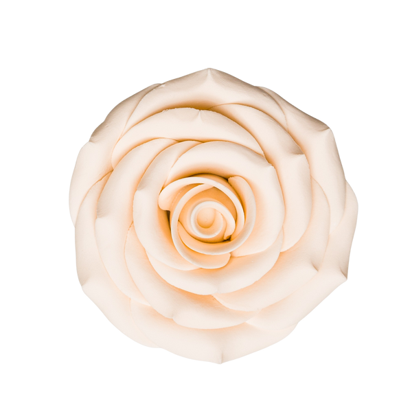 Rosa de azúcar de 2,5" - Marfil