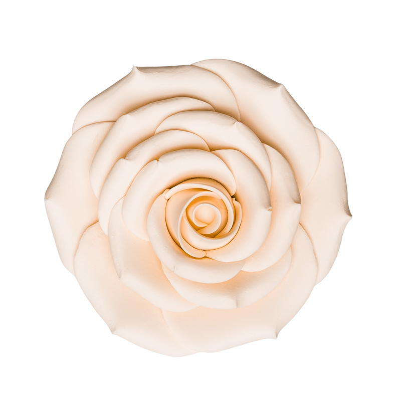 Rosa de azúcar de 3,5" - Marfil
