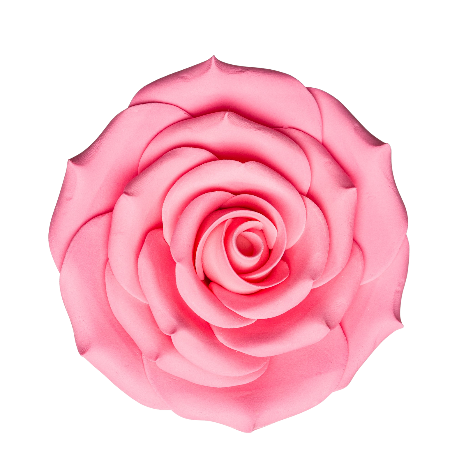 Rose Pink Ombre Sugar Flower Cake Decorations By Baked With Love | Craft Company - View #14