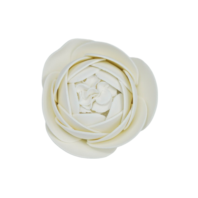 Rosa inglesa de 2.75" - Blanco
