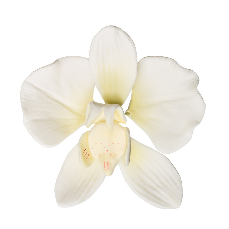 Orquídea polilla de 3" - Blanco