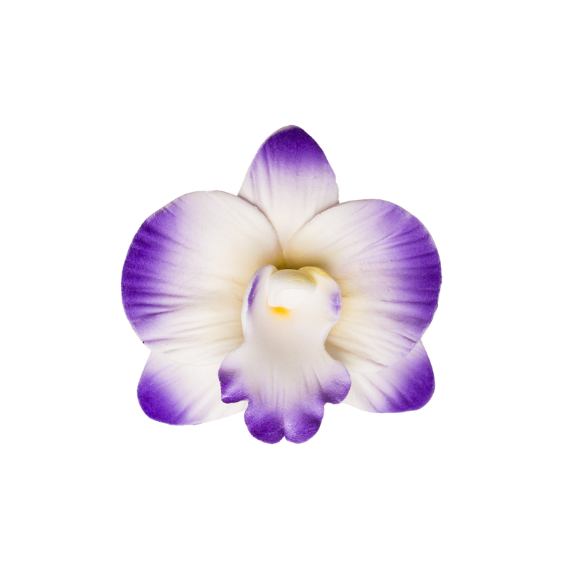 Orquídea Vanda de 2.5" - Púrpura
