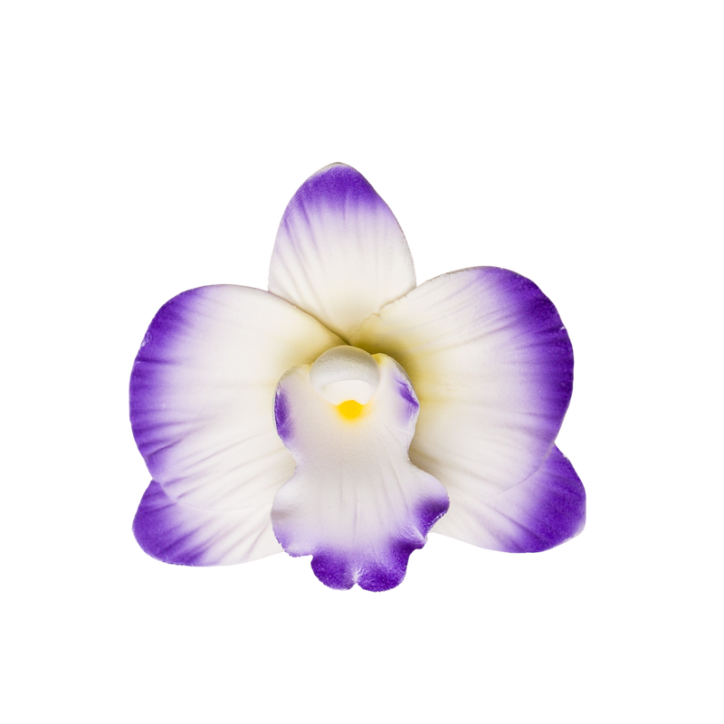 Orquídea Vanda de 2.75" - Púrpura