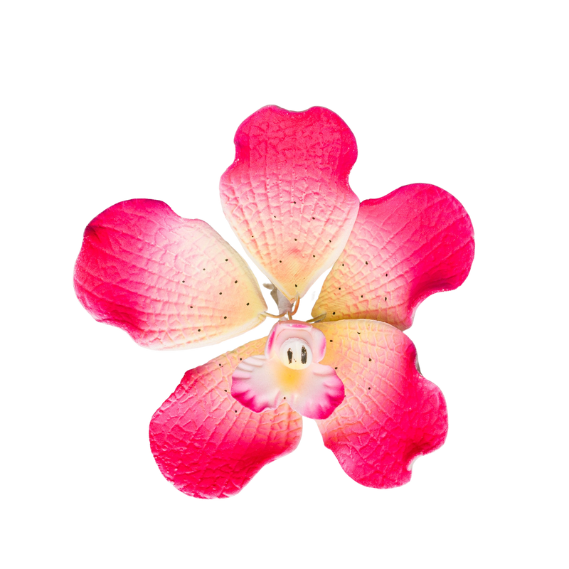 Orquídea Vanda de 3" - Rosa