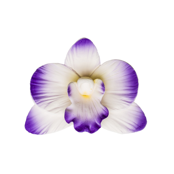 3" Vanda Orchid - Purple