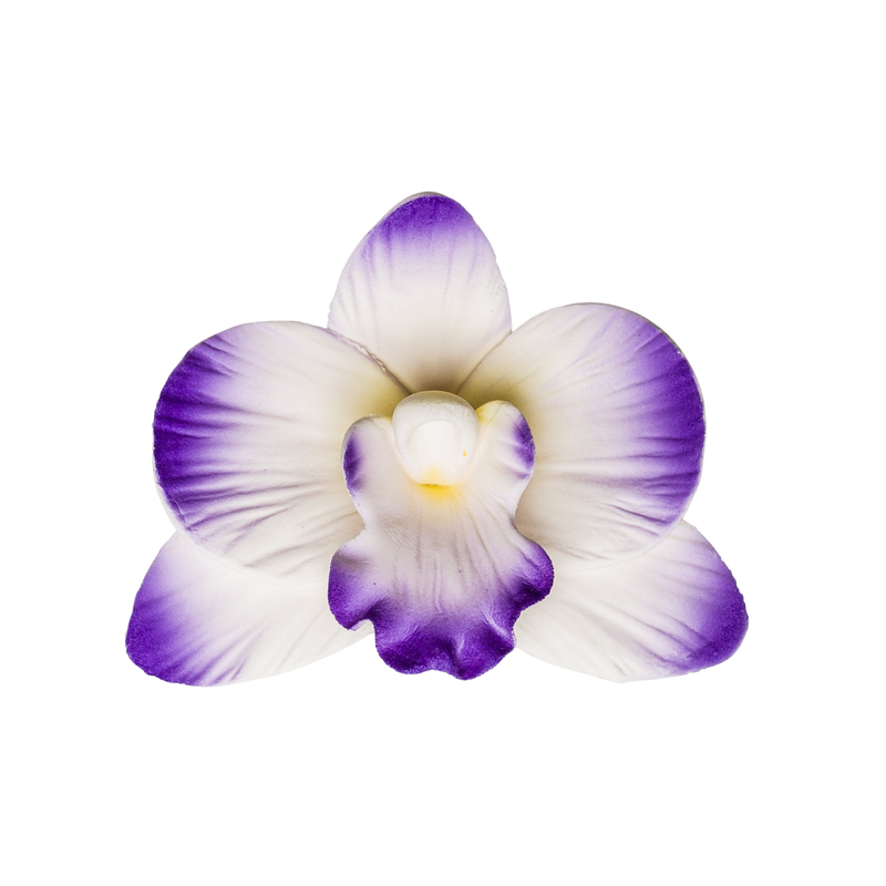 Orquídea Vanda de 3" - Púrpura