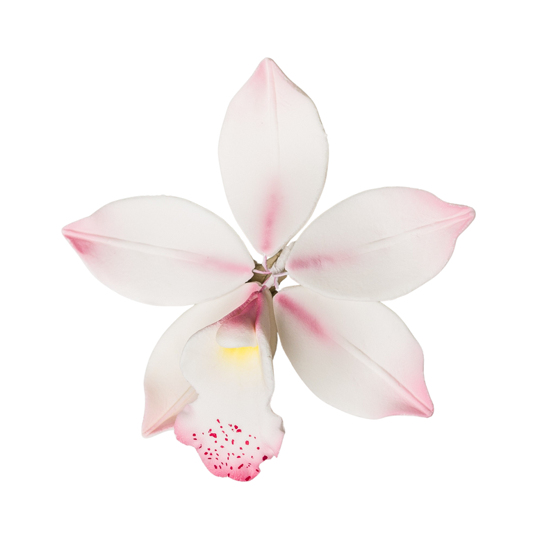 Orquídea de pantano de 3" - Rosa