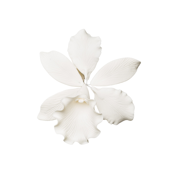 4" Elegant Cattleya Orchid - White