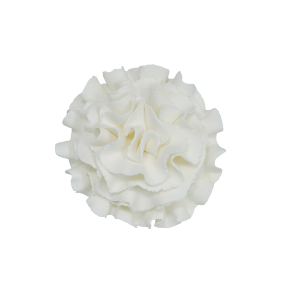 2.5" Carnation - White