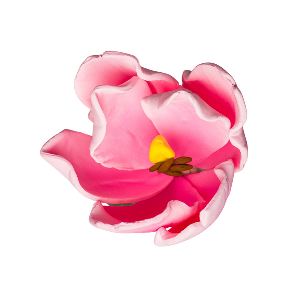 Tulipán francés de 2" - Rosa
