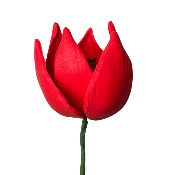 Tulipán francés de 2" - Rojo