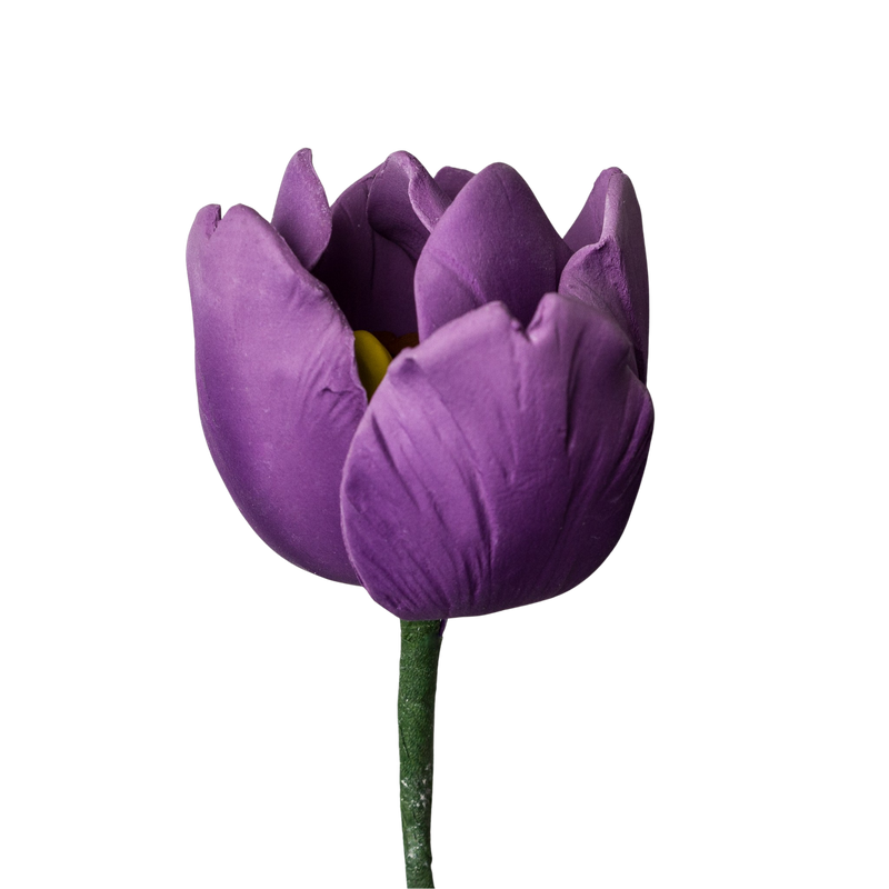 Tulipán francés de 2" - Púrpura