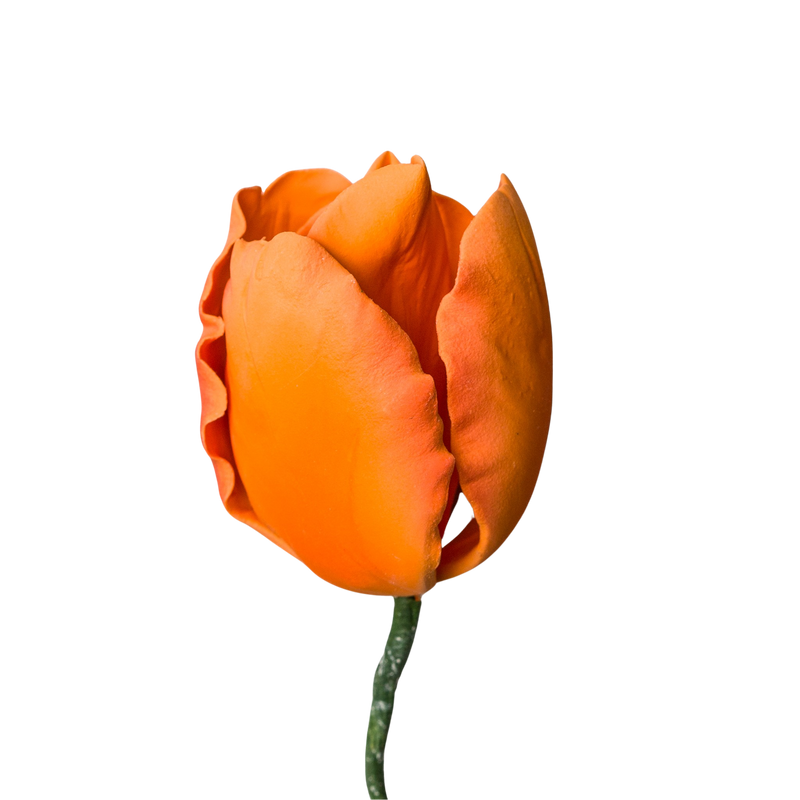 Tulipán francés de 2" - Naranja