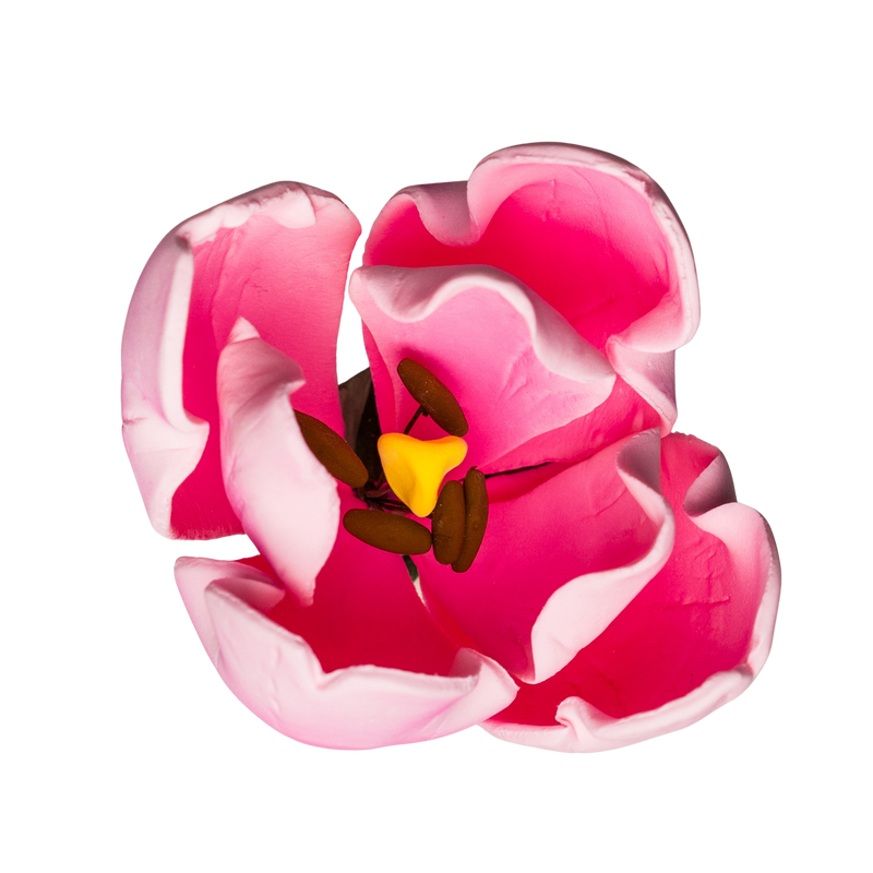 Tulipán francés de 3" - Rosa