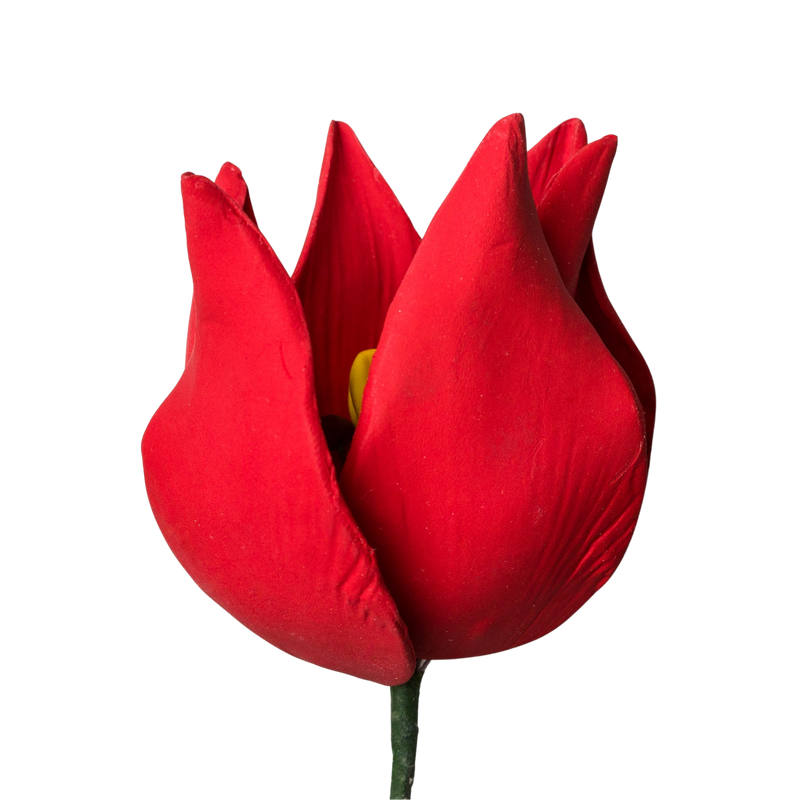 Tulipán francés de 3" - Rojo