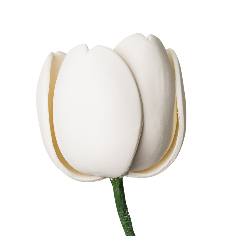 3" French Tulip - White