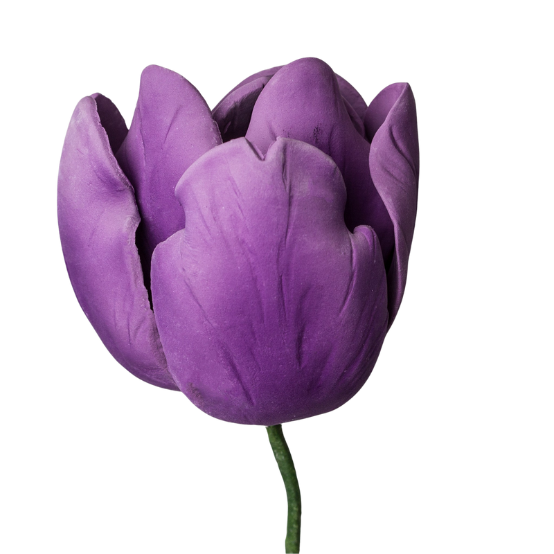 3" French Tulip - Purple