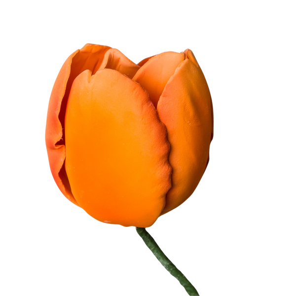 3" French Tulip - Orange