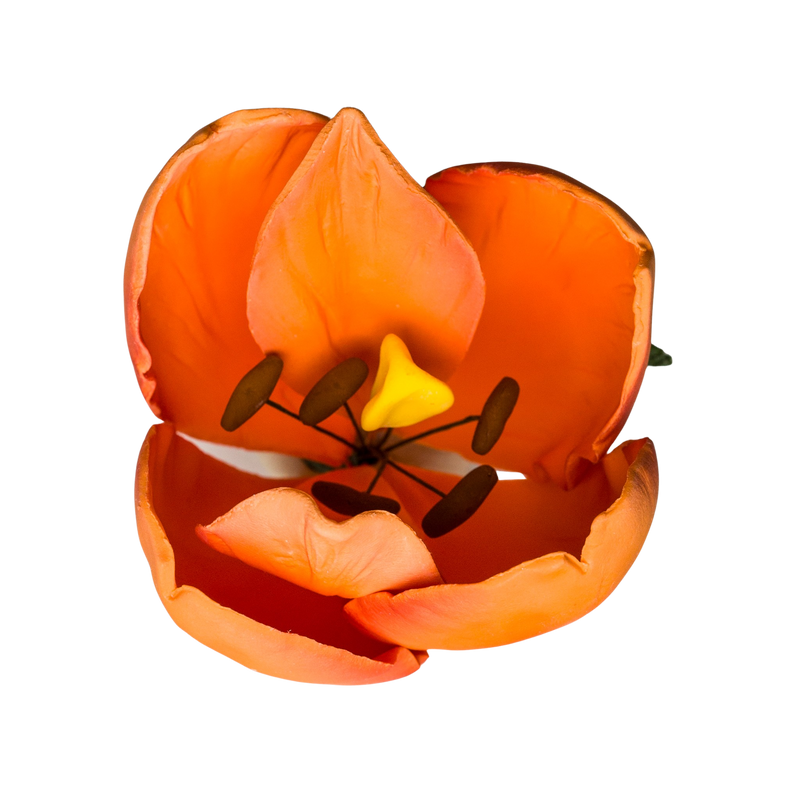 Tulipán francés de 3" - Naranja