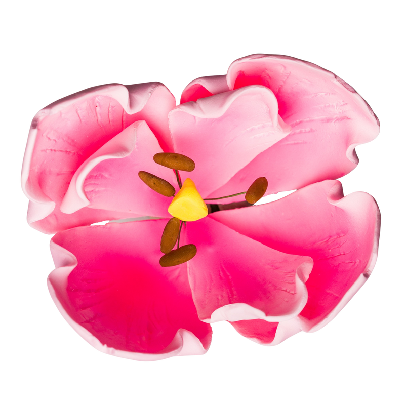Tulipán francés de 4" - Rosa