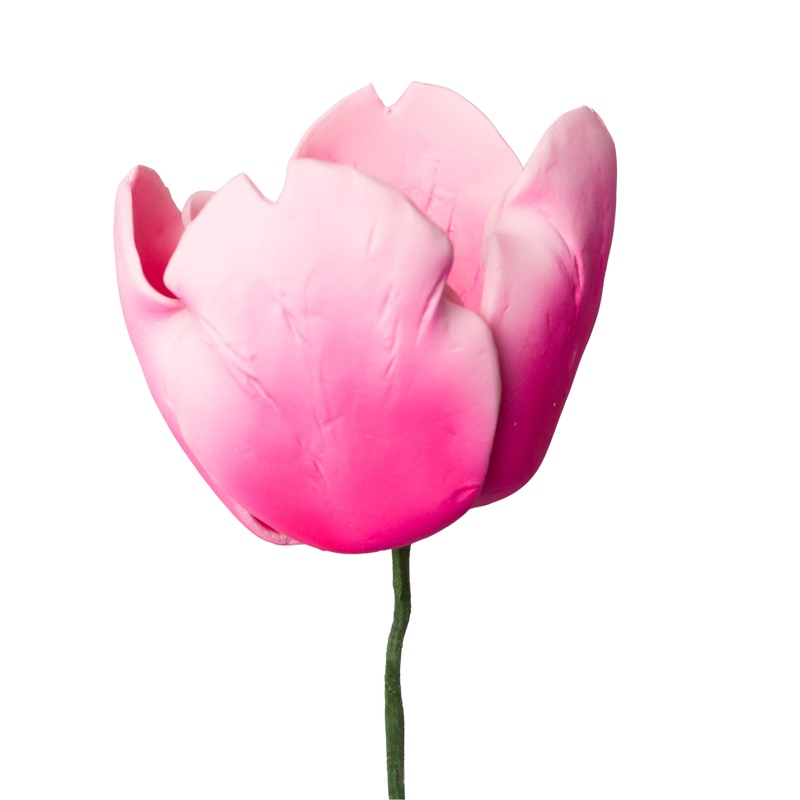 Tulipán francés de 4" - Rosa