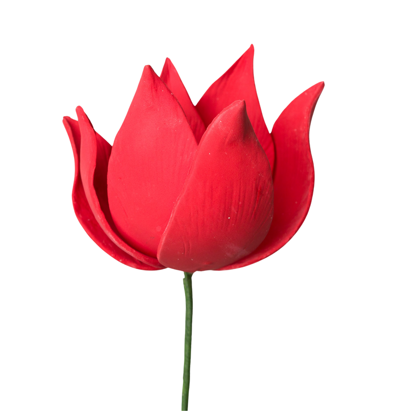 Tulipán francés de 4" - Rojo