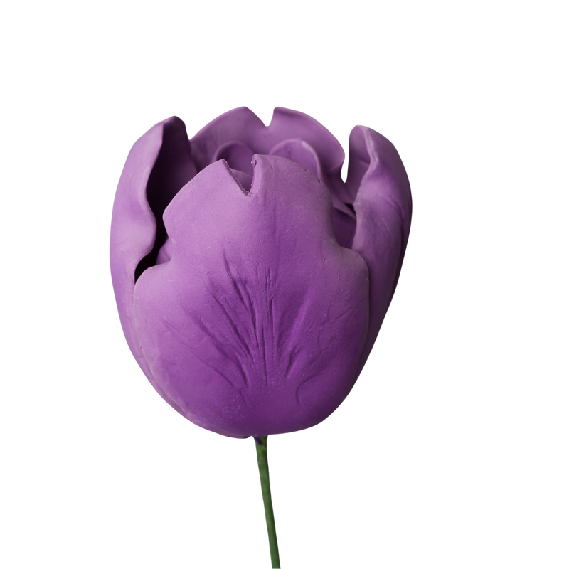 Tulipán francés de 4" - Púrpura