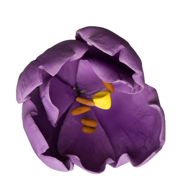 Tulipán francés de 4" - Púrpura