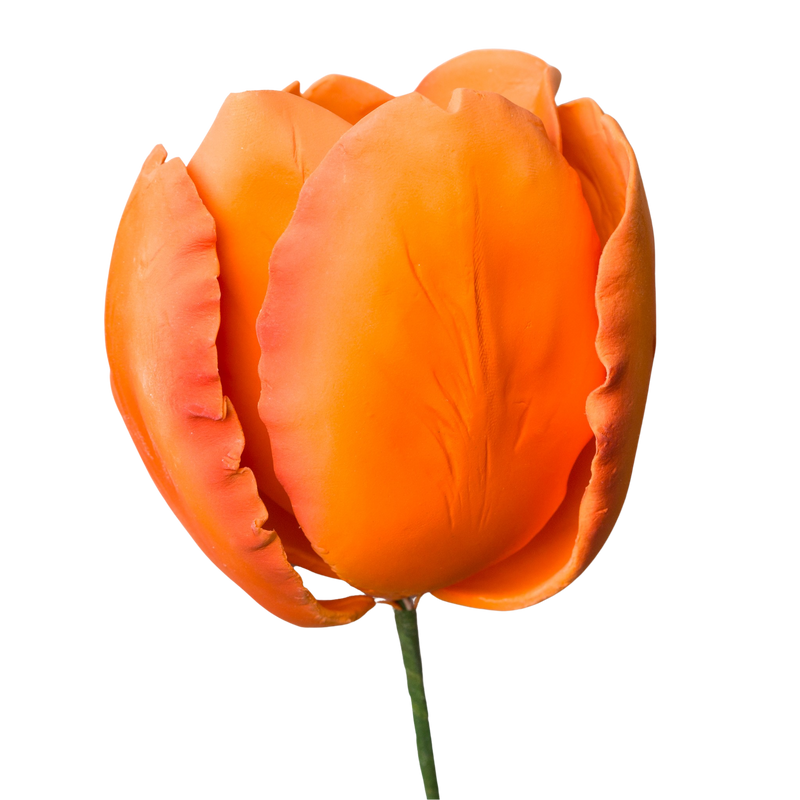 Tulipán francés de 4" - Naranja