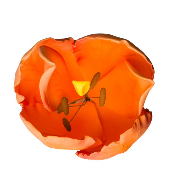 Tulipán francés de 4" - Naranja