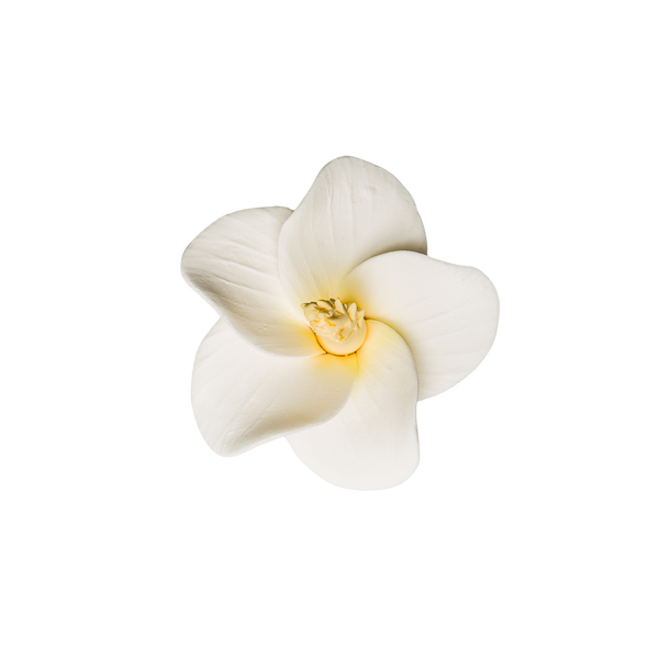 2.5" Hibiscus - White