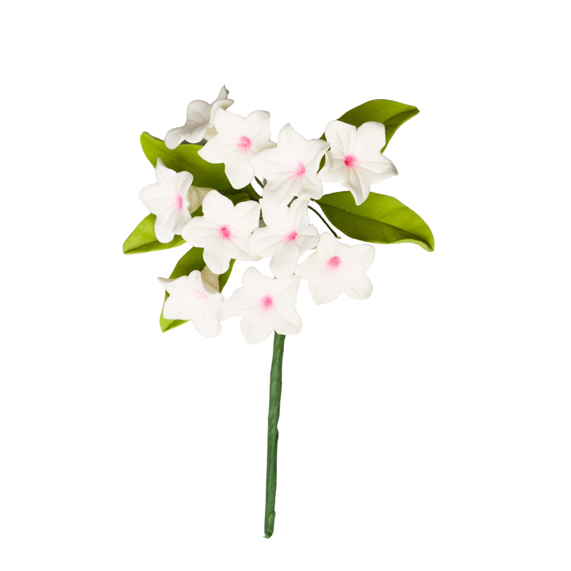 Espray de relleno Primula de 3" - Blanco