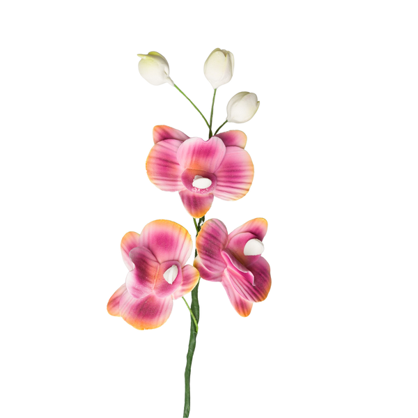 Aerosol de orquídea polilla de 7.25" - Borgoña