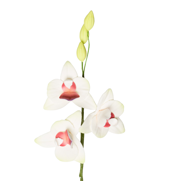 Aerosol para orquídea polilla de 7.25" - Blanco