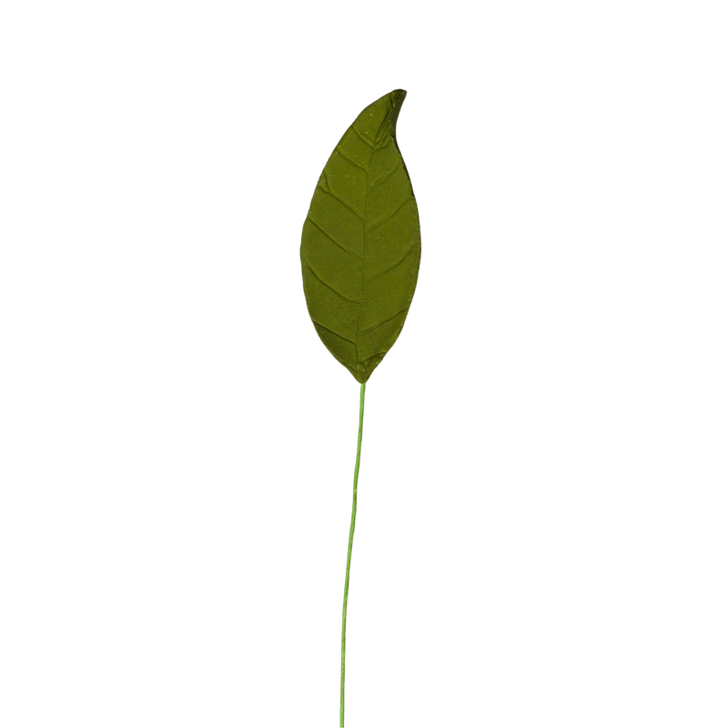 2" Magnolia Leaf Single - Green